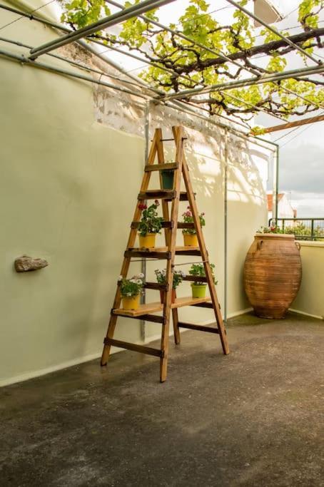 Tatil Evi Traditional House In Fres